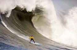 开云体育-季后赛心跳，当加维成为全队唯一的心电图