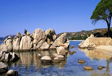 开云体育下载-快船客场轻取骑士，哈雷尔全场狂砍27分的简单介绍